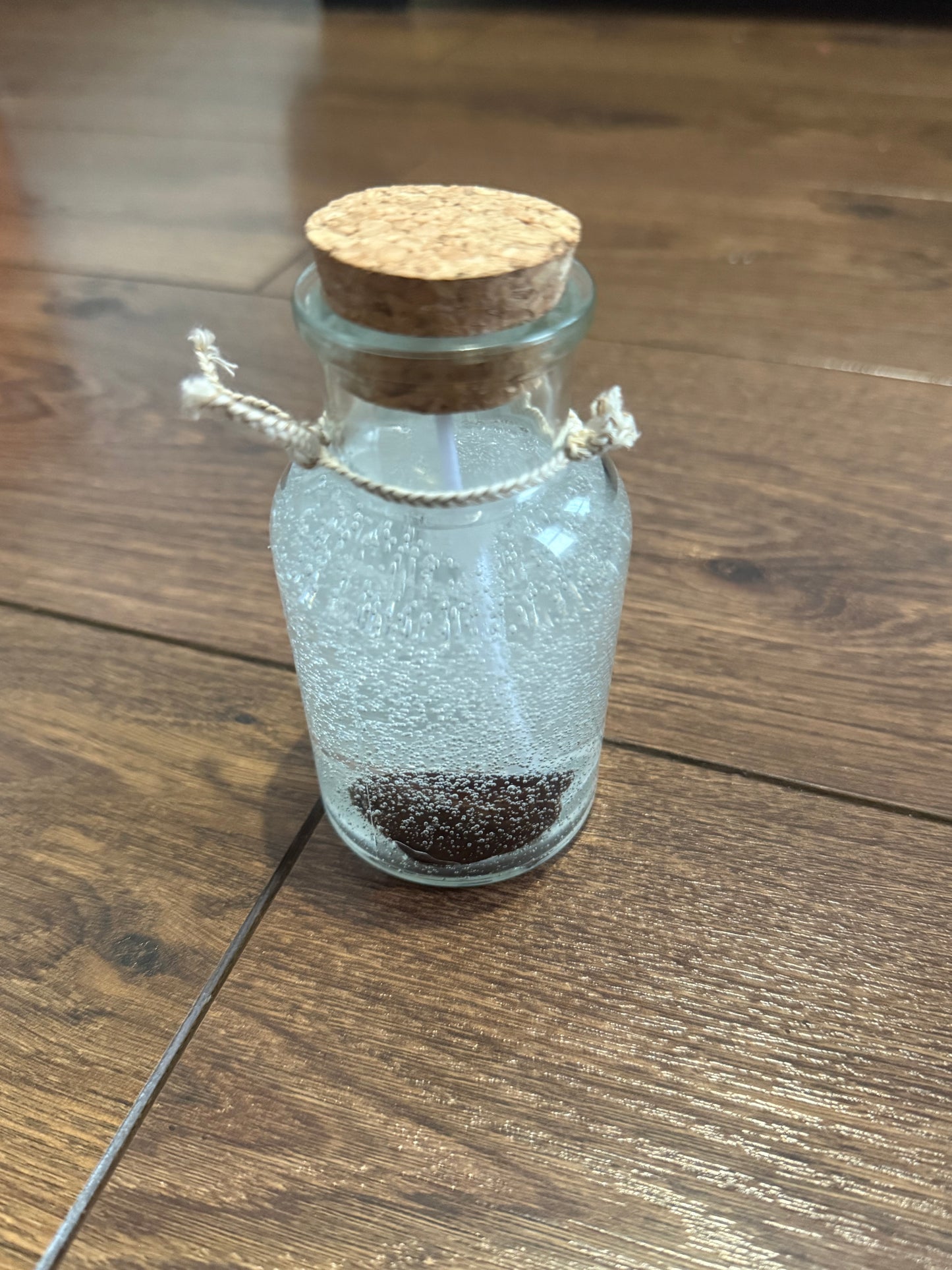 Plum Spirit Candle